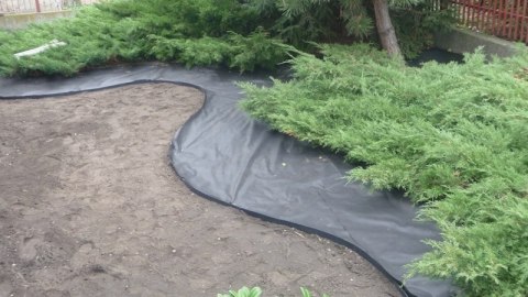 Agrowłóknina AgroPol czana UV P-100 1,6mx10m AP