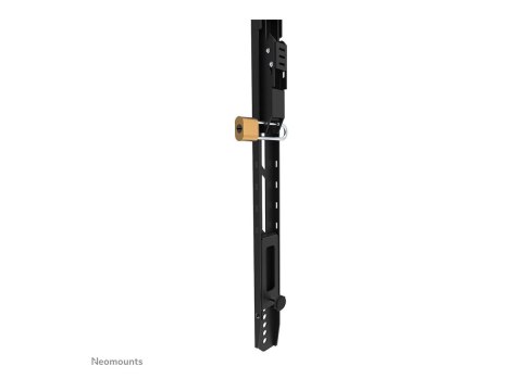 Neomounts LEVEL-750 WL30-750BL18 Fixed heavy duty wall mount - 43-98" screen - max 125 kg - VESA 100x100-800x600 - d 4,2 cm - le