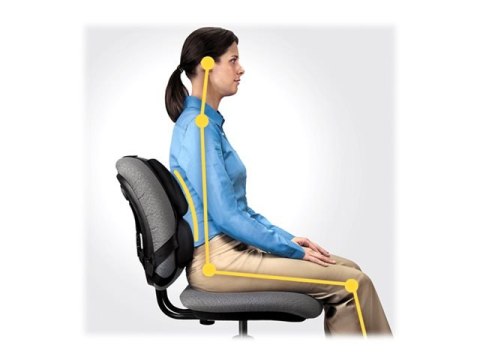 Fellowes Ergonomia podpórka poduszka profesjonalna pod plecy