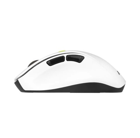 ASUS MD105 Bezprzewodowa Mysz Bluetooth i 2.4GHz Volt Green 1200/1600/2400 DPI