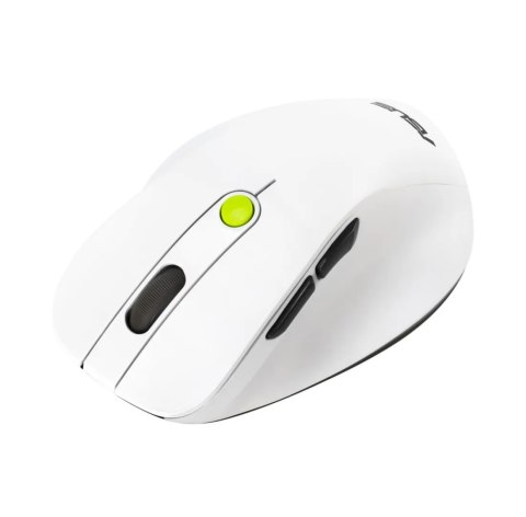 ASUS MD105 Bezprzewodowa Mysz Bluetooth i 2.4GHz Volt Green 1200/1600/2400 DPI
