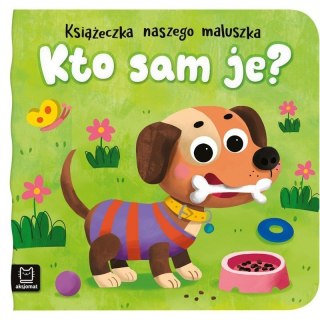 Kto sam je AKSJOMAT