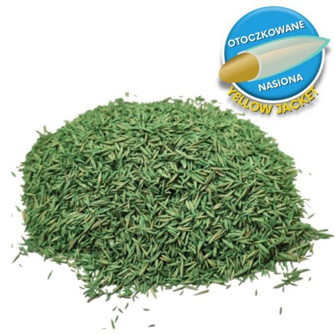 Trawa Odporna Na Suszę Barenbrug Water Saver Otoczkowana 5kg
