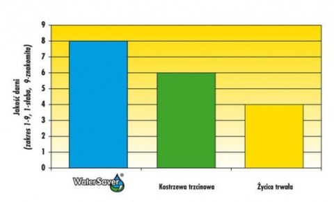Trawa Odporna Na Suszę Barenbrug Water Saver Otoczkowana 5kg