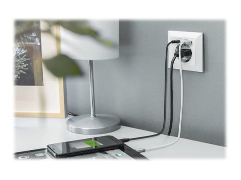 Digitus | Wtyczka bezpieczeństwa do montażu podtynkowego z 1 x USB Type-C, 1 x USB A