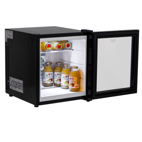 Adler | Chłodziarka termoelektryczna | AD 8088 | Wolnostojąca | Spiżarnia | Wysokość 45 cm | Pojemność netto lodówki 28 L | Czar